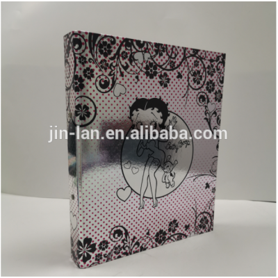 paper ringbinder file